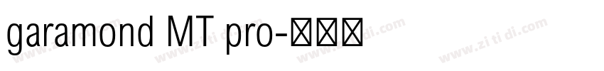 garamond MT pro字体转换